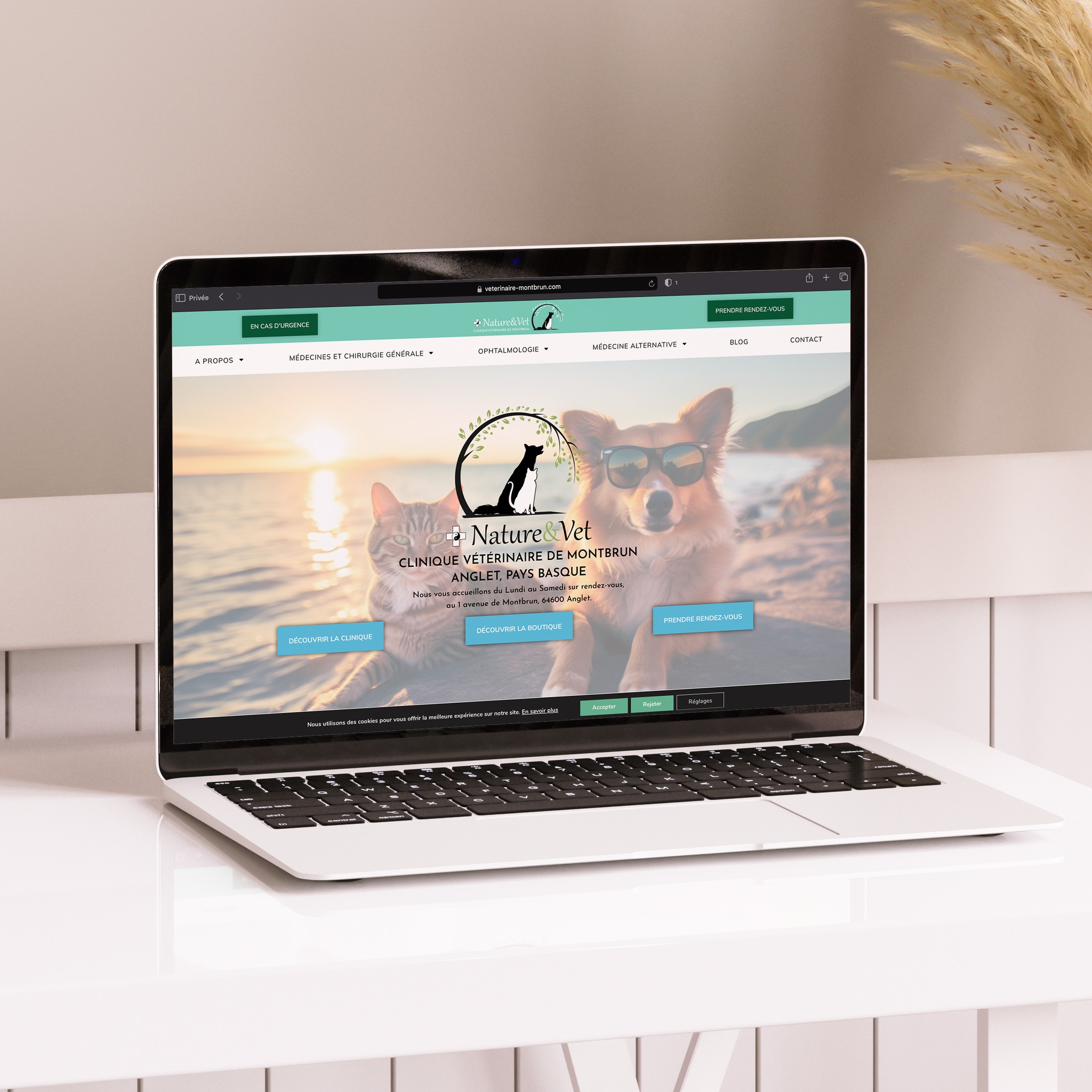 Page d'accueil du site vitrine de la clinique vétérinaire d'Anglet Montbrun nature & Vet